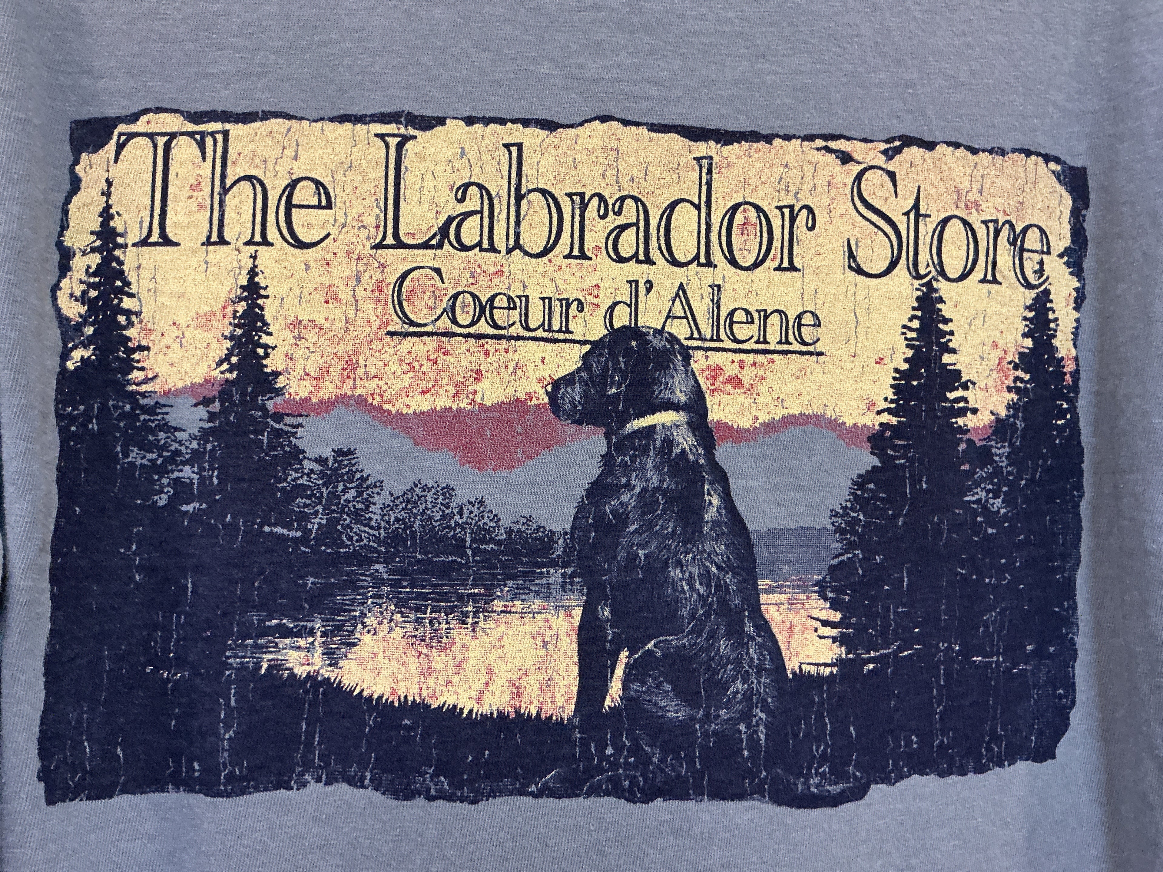Fire Lake Lab Long Sleeve Shirt
