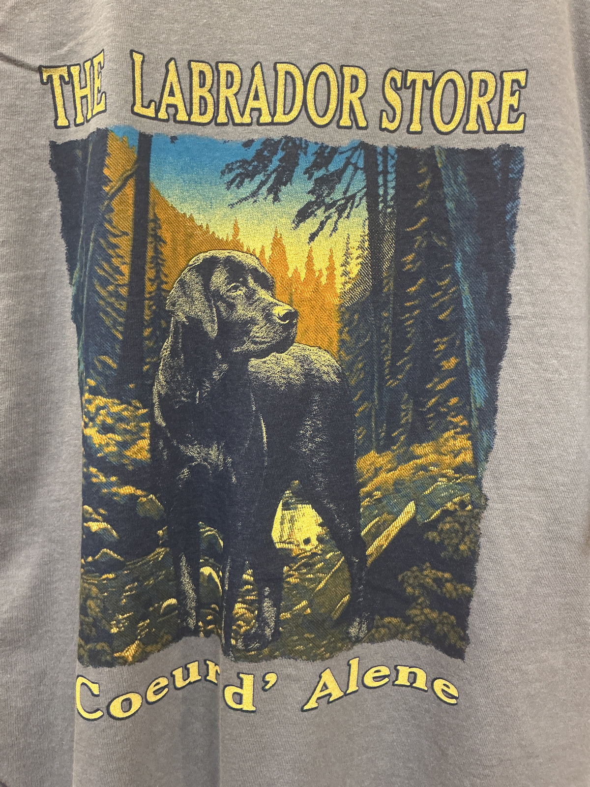 Streamside Black Lab TShirt