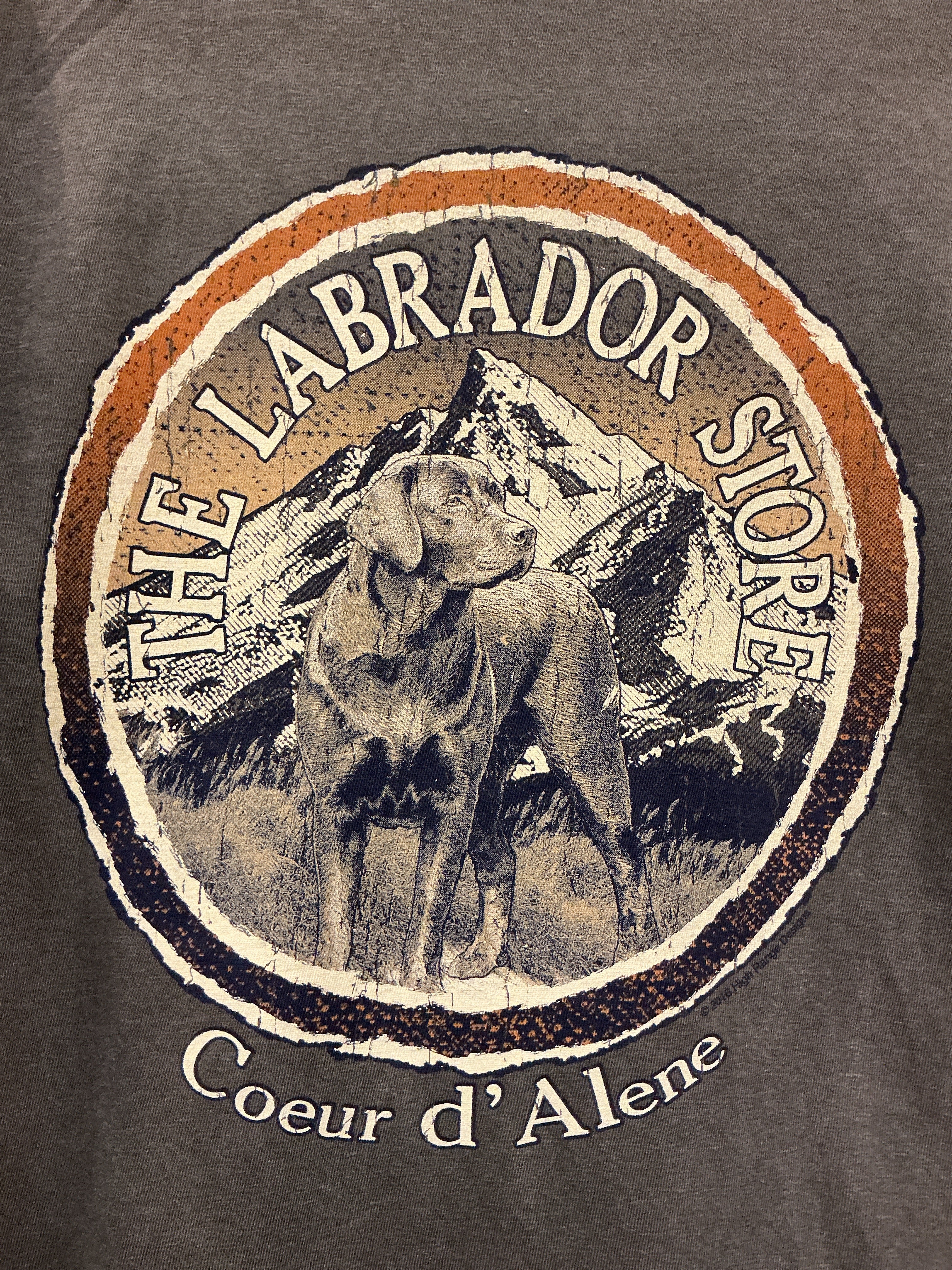 Mountain Snow Black Lab Long Sleeve Shirt